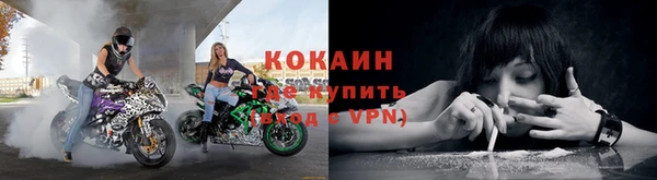 трава Слюдянка