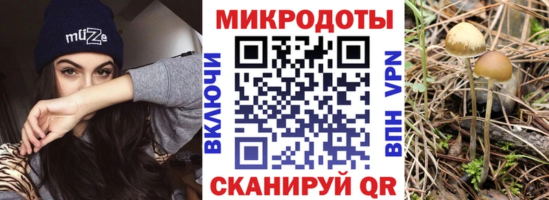 Псилоцибиновые грибы GOLDEN TEACHER  Заозёрск 