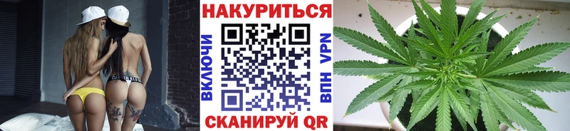 Канабис гибрид Заозёрск